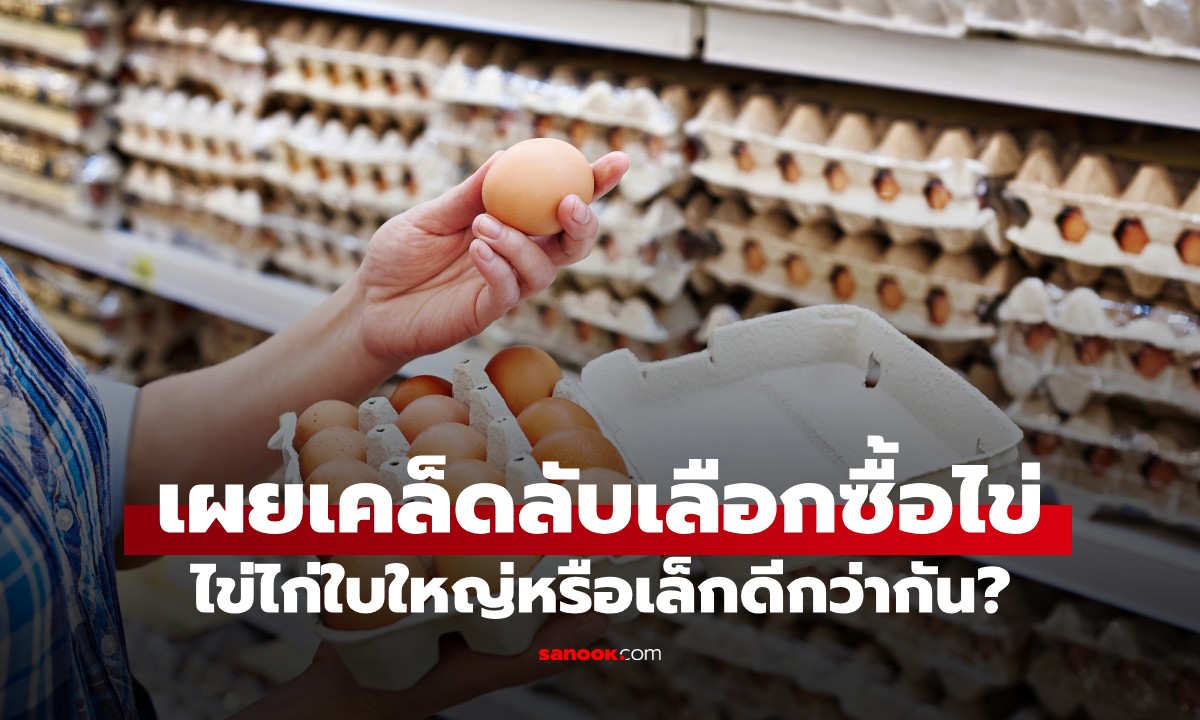 닭알은 큰 걸로 살까, 작은 걸로 살까? 76년 전통의...